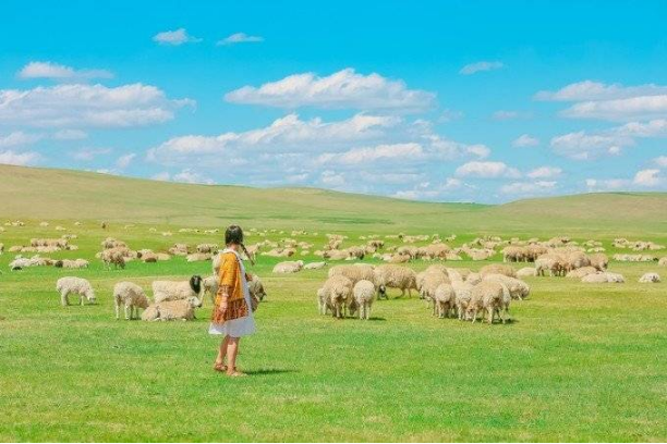 内蒙古旅游攻略，纯玩六日行程费用，建议分享