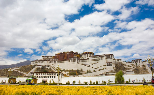 看头条！西藏旅游攻略路线自由行7天游，拉萨当地品质私人导游哪家服务好