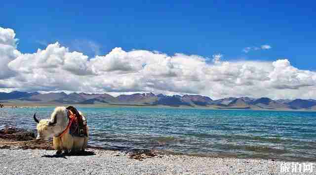 冬天正是适合去西藏玩的时节，西藏六天游玩最佳路线安排
