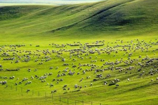 内蒙古三天旅游攻略 内蒙古三天旅游怎么玩最好