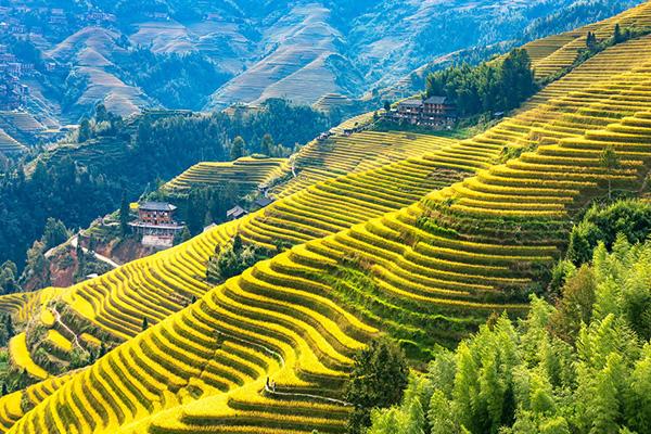 桂林自驾游推荐景点，桂林旅游景点全览
